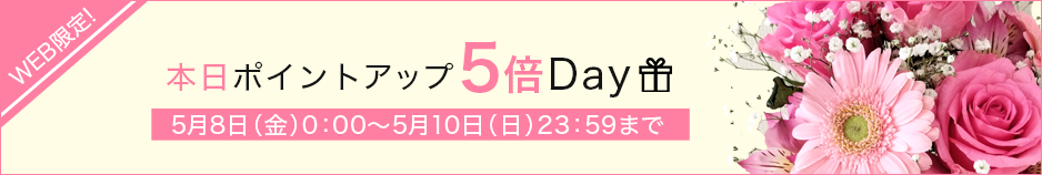 本日ポイントアップデー