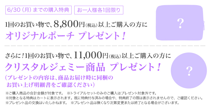 今月のお買い上げプレゼント